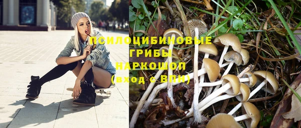 прущая мука Армянск